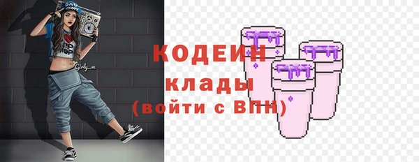дживик Гусь-Хрустальный