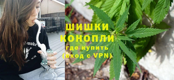 дживик Гусь-Хрустальный