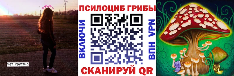 Псилоцибиновые грибы MAGIC MUSHROOMS  Купить  Суоярви 